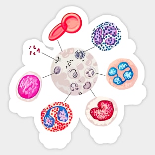 Blood cells. RBCs. WBCs, Basophil, Platelet, thrombocyte, Neutrophil, B-Lymphocyte, Monocyte, Eosinophil. Sticker